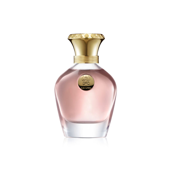 جاذبية الأرض